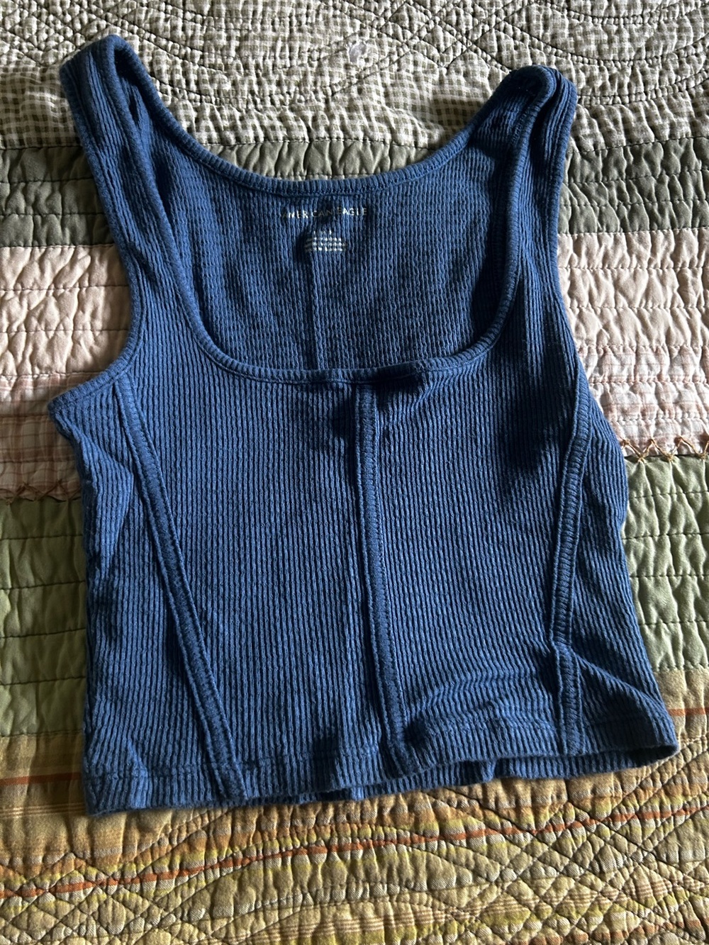 American Eagle Seamed Crop Top